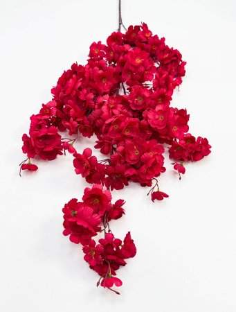 Сакура "Ветка Ханами" красная