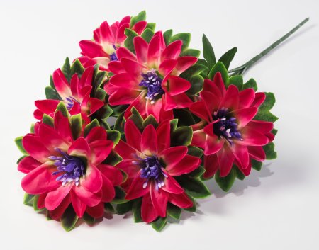 Букет георгина "Пава" 6 цветков