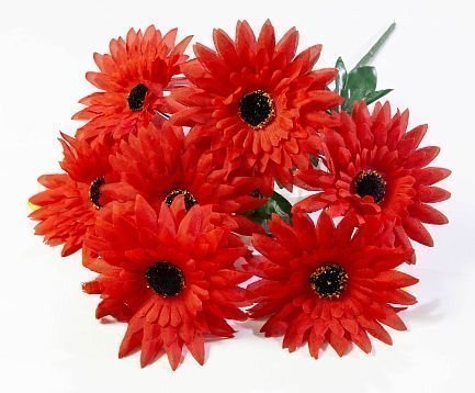 Букет гербер "Липстик" 7 цветков от магазина KALINA являющийся официальным дистрибьютором в России 