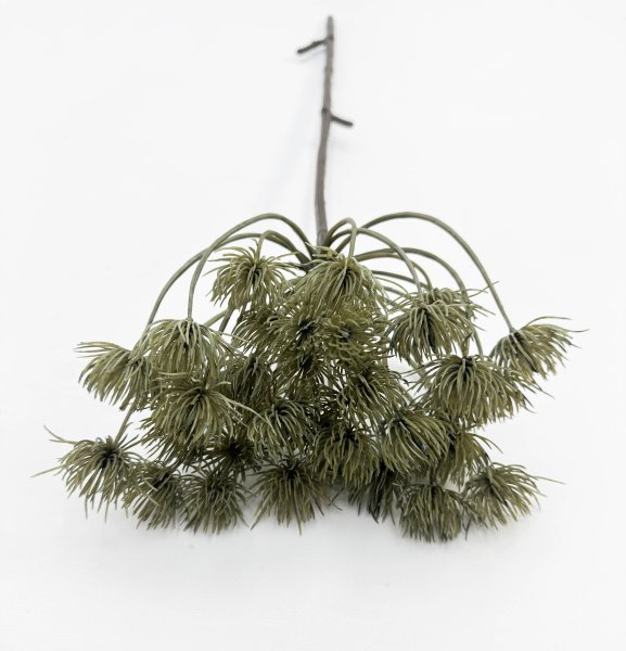 картинка Борщевик светло- болотный от магазина KALINA