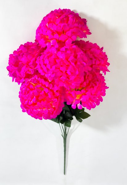 Букет шафрана "Супер гигант" 6 цветков