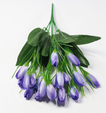 Крокус 21 цветок