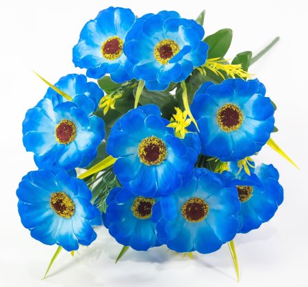 Тунбергия 12 цветков