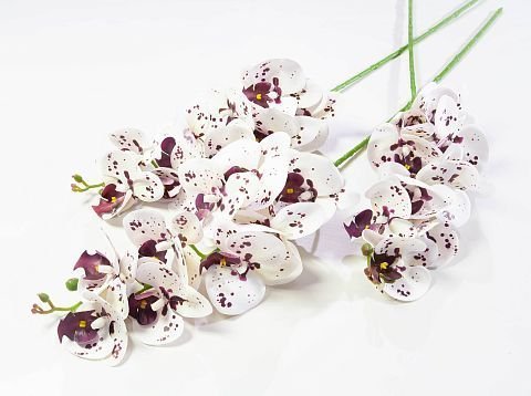 Ветка орхидеи 3 от магазина KALINA являющийся официальным дистрибьютором в России 
