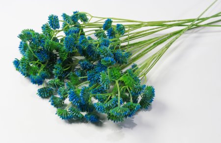 Ветка "Джуэл"