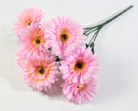 Букет гербер "Фестиваль" 7 цветков