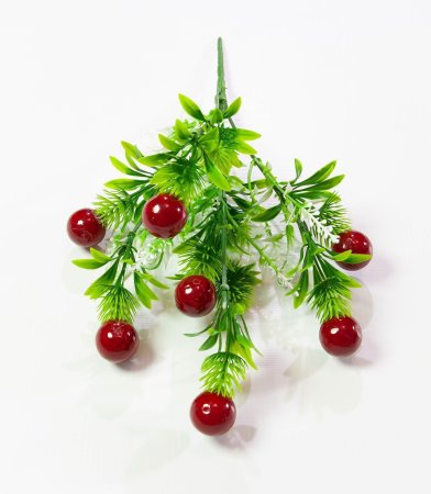 Крупная ягода 5 веток