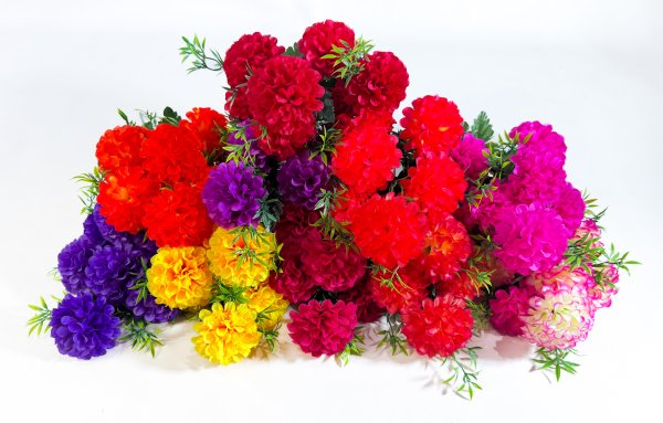 Шафран "Афродита" 7 цветков