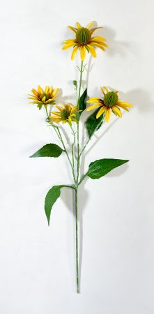 Эхинацея желтая