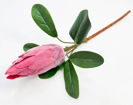 Протея "Королевская малиновая"