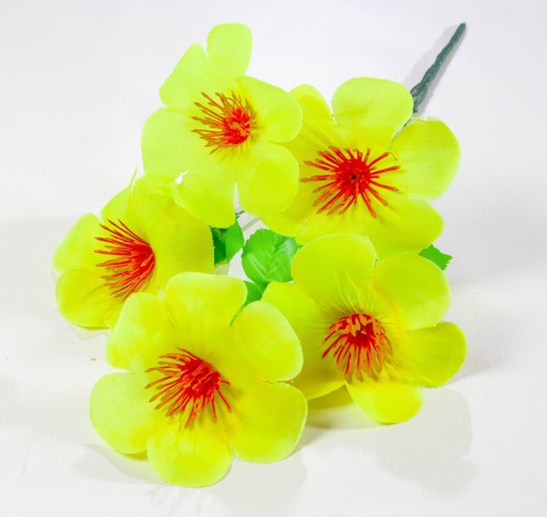 Лилия 5 веток