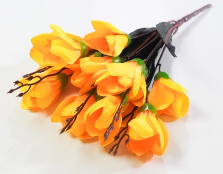 Крокус "Звездный вальс" 15 цветков