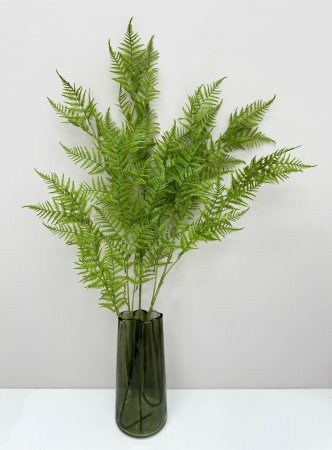 картинка Даваллия Мариса на высокой ноге от магазина KALINA