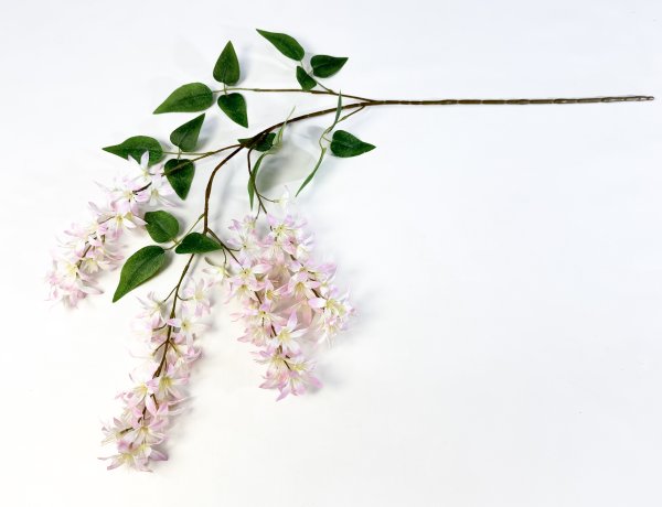 Глициния шелковистая светло-розовая