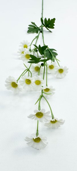 Ромашка "Аптечная" 