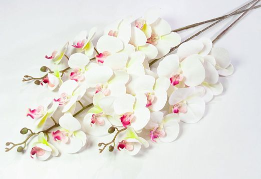 Ветка орхидеи 40 от магазина KALINA являющийся официальным дистрибьютором в России 