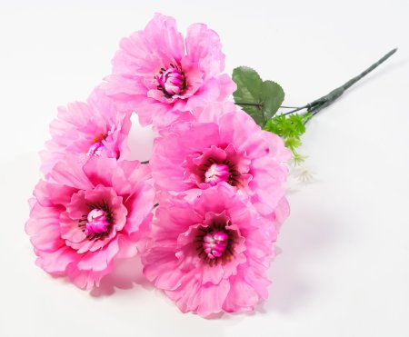 Георгин "Августа" 5 цветков