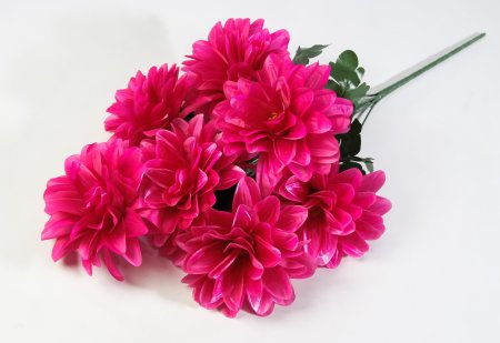 Георгин "Виталина" 7 цветков