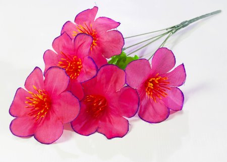 Лилия 5 веток