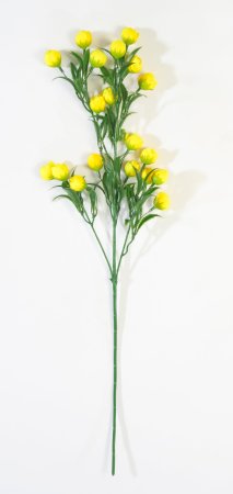 Ветка "Пицея" высокая желтая