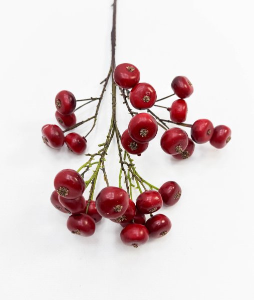 Яблоня "Дичка" красная