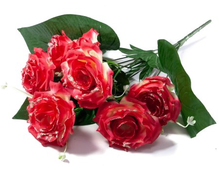 4ccba43af8459a447b17a0d46ba9fd43