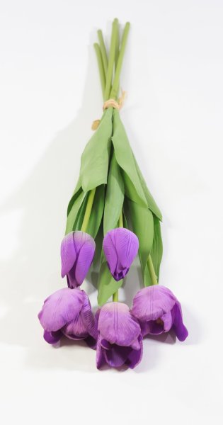 Тюльпан с латексным покрытием фиолет (12 букетов по 5 шт)