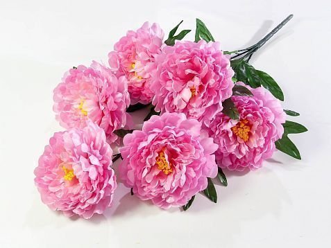 Пион "Звездопад" 6 цветков от магазина KALINA являющийся официальным дистрибьютором в России 
