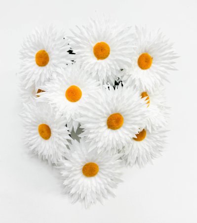 Ромашка "Белоцветик" большая 13 цветков