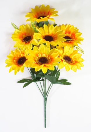Подсолнух 7 цветков