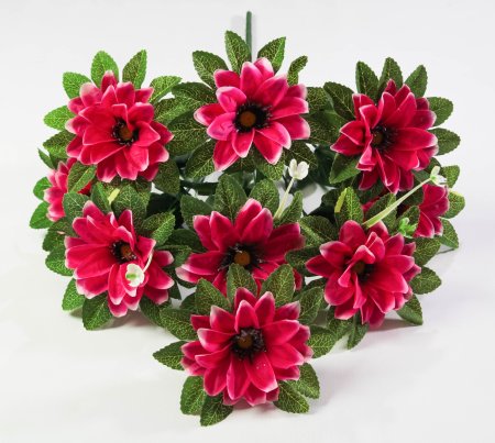 Георгин "Дуэт" 9 цветков 