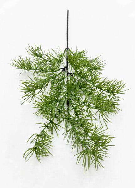 картинка Бонсай лиственница ветка светлая от магазина KALINA