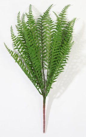 картинка Букет нефролепис от магазина KALINA