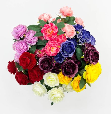 Пион "Аура" 7 цветков