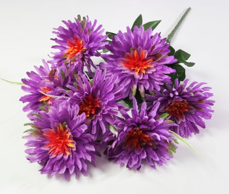 Астра "Бельгийская" 7 цветков