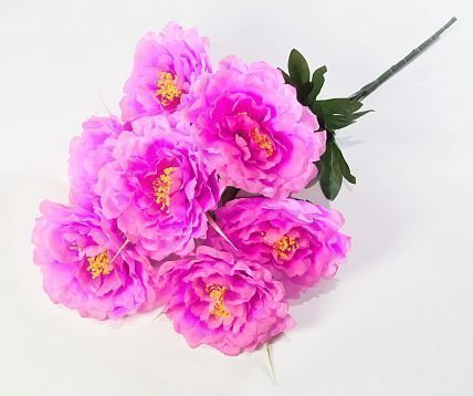 Пион "Граф" 7 цветков от магазина KALINA являющийся официальным дистрибьютором в России 