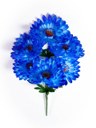 Букет астры "Лапки" 6 цветков