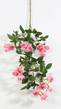 Кустовая роза светло-розовая