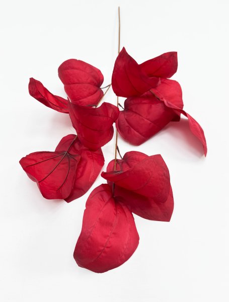 Ветка декоративная с крупным листом бордо