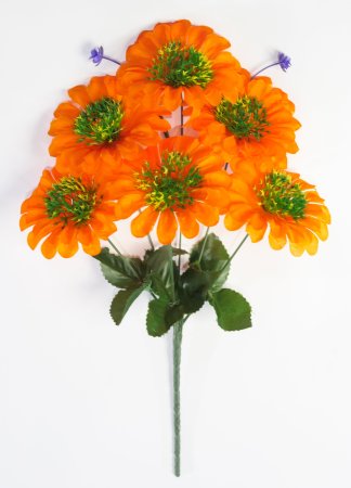 Букет цинний 6 цветков