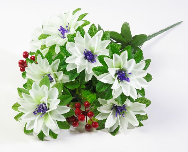 Георгин с ягодкой 8 цветков