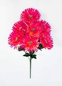 Астра "Дуняша большая" 7 цветков