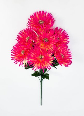 Астра "Дуняша большая" 7 цветков