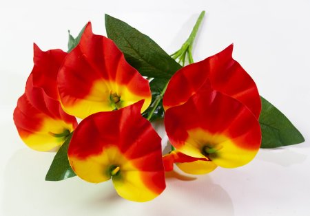 Букет калл "Тереза" 7 цветков