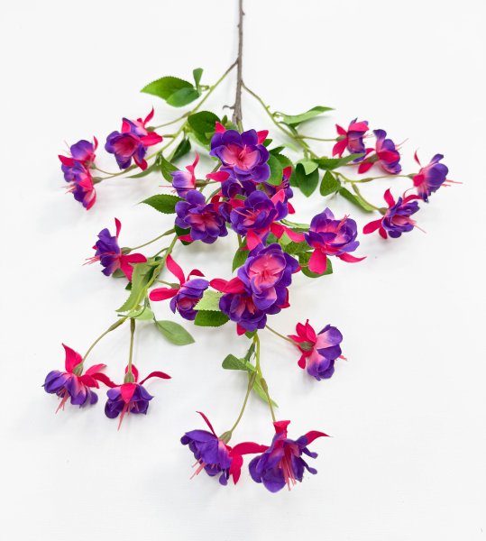 Фуксия ветка высокая