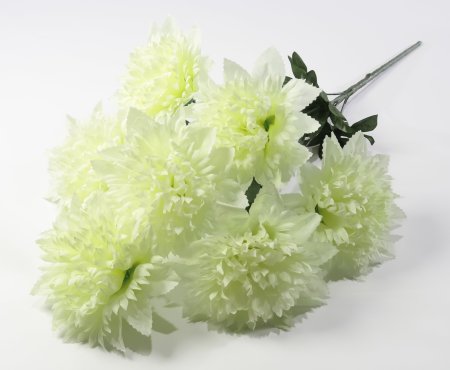 Астра "Женевьева" 7 цветков