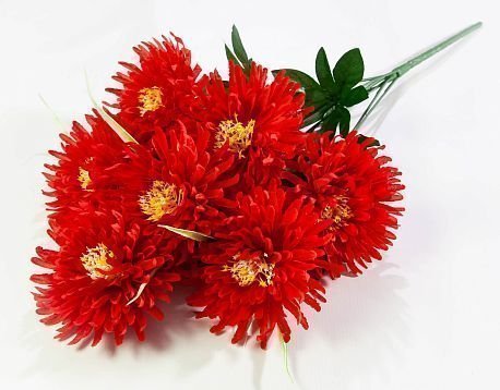 Астра "Бельгийская" 7 цветков от магазина KALINA являющийся официальным дистрибьютором в России 