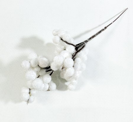 Ветка с мелкими белыми ягодами в инее