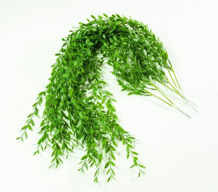 картинка Ампельная зелень Фло от магазина KALINA