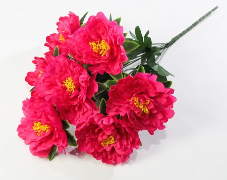 Пион "Гарант" 7 цветков